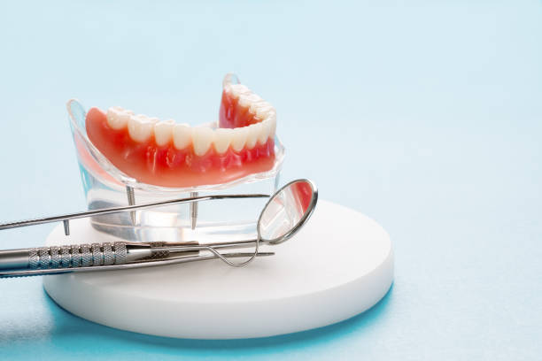 Best Preventive Dentistry  in Bellwood, PA